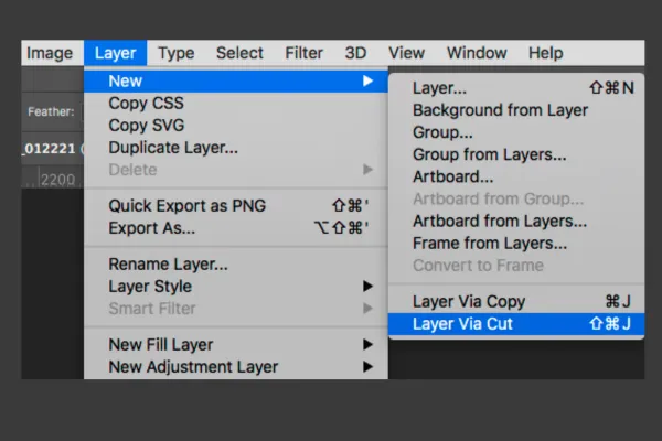 copy layer với Layer Via Cut