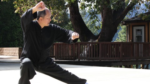 Yang Tai Chi 108 Form Parts 2 and 3 with Master Yang (YMAA)