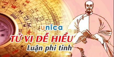 Tử vi dễ hiểu - Luận phi tinh